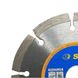 Diamond cutting disc Meister concrete segment 125 mm. 252471125 S & R