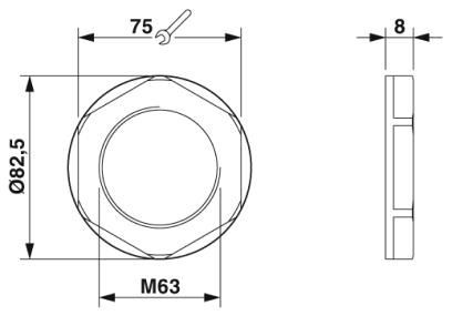 Nut A-INL-M63-P-LG 1417666 Phoenix Contact