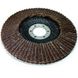 Circle abrasive stripping petalled Meister 125x22.2, Z40 136 125 040 S & R